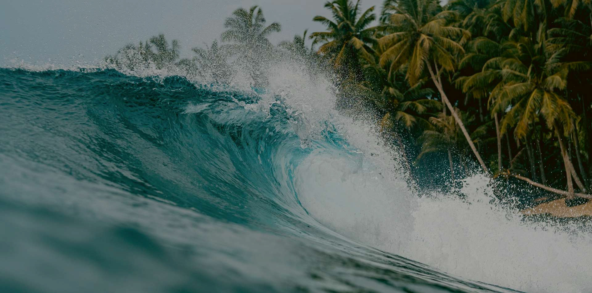 agencia de viajes, guadalajara, zapopan, europa, viajar, vuelos, estancia, mejor agencia de viajes, mexico